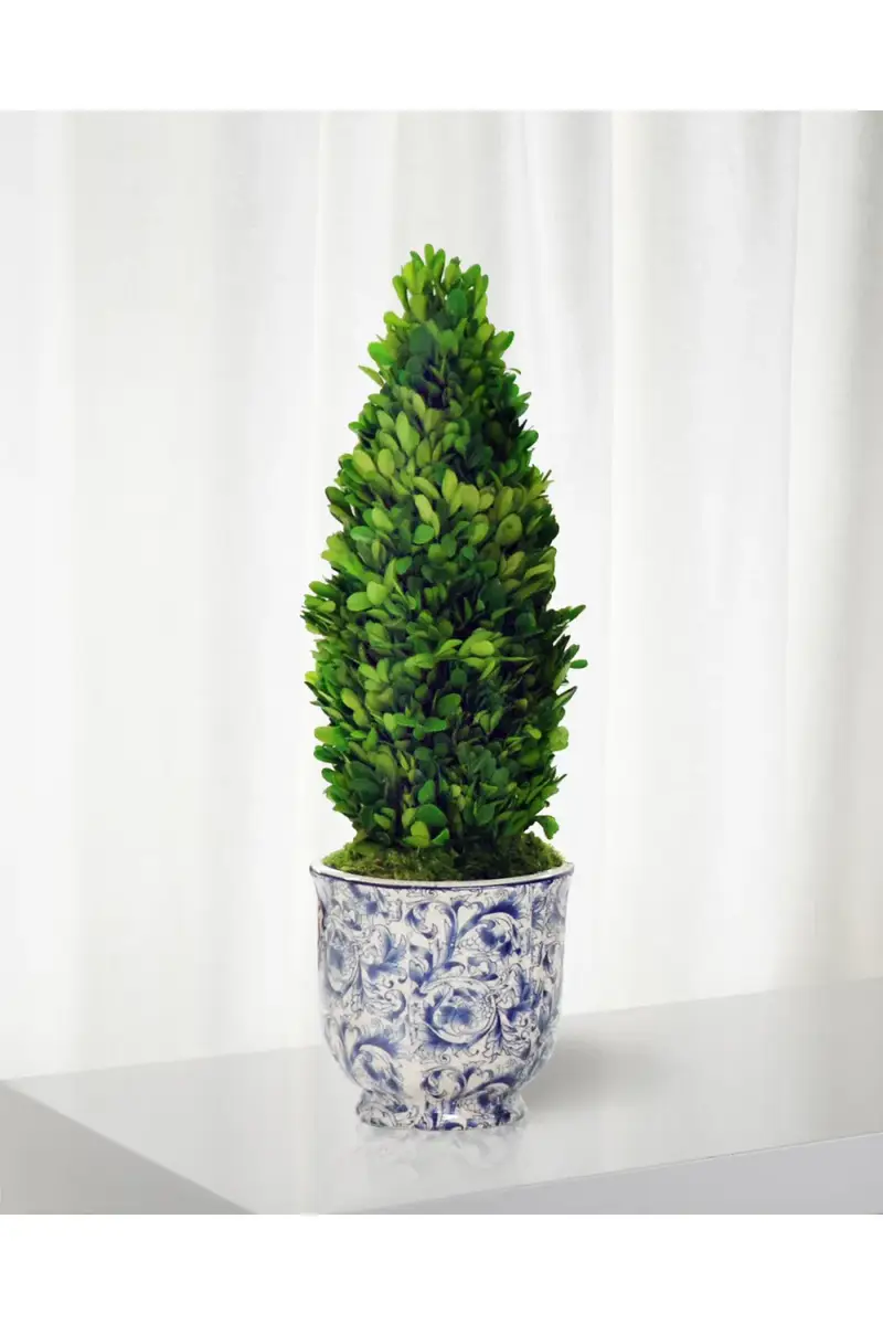 Winward Home Boxwood Cone Topiary in Cache Pot | Thumbnail 2