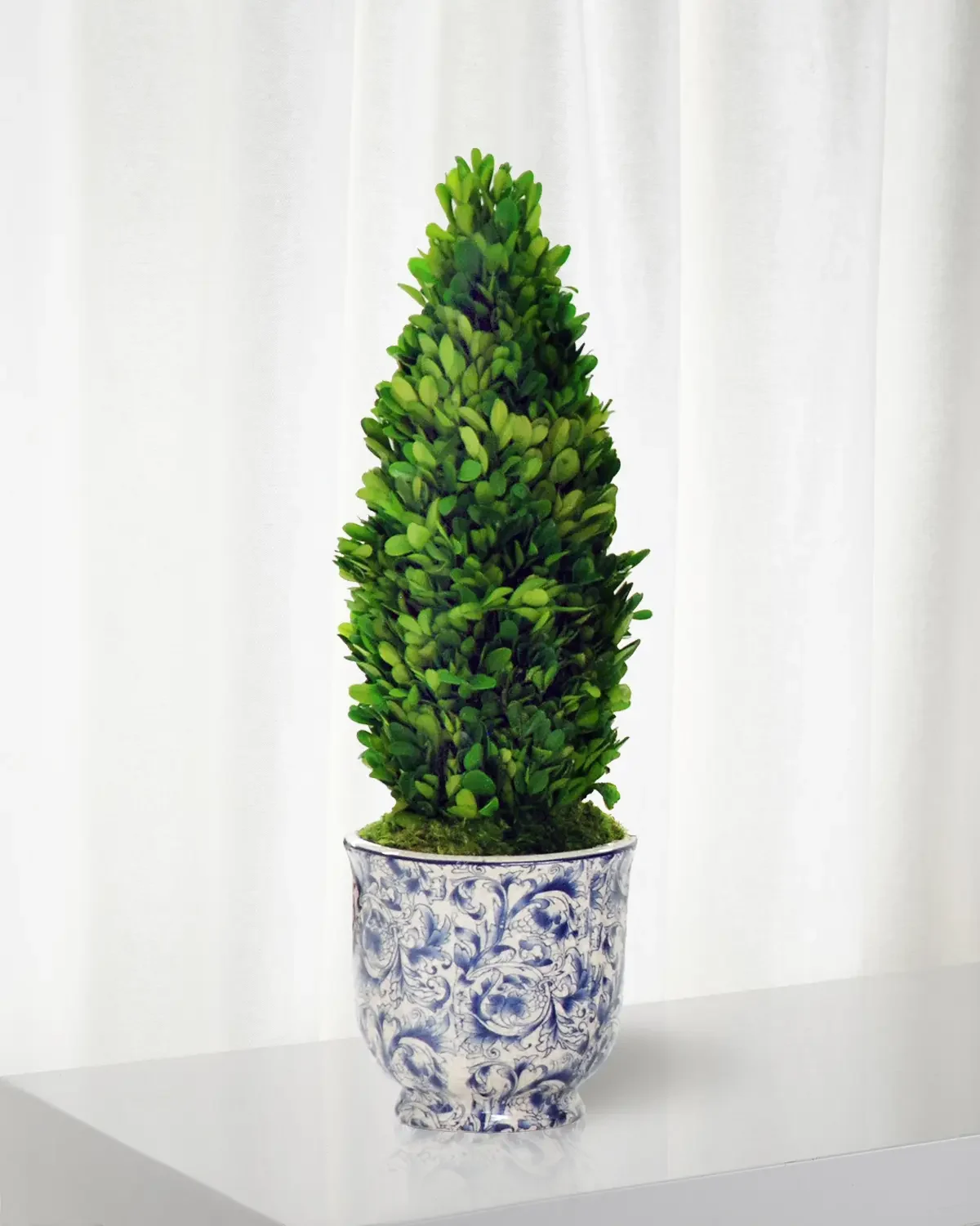 Winward Home Boxwood Cone Topiary in Cache Pot