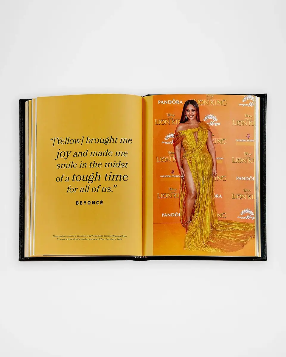Graphic Image "Icons of Style: Beyonce" Leather-Bound Book by Lauren Cochrane | Thumbnail 6 Graphic Image "Icons of Style: Beyonce" Leather-Bound Book by Lauren Cochrane | Thumbnail 6