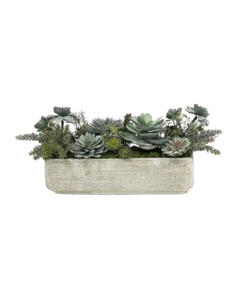 Winward Home Mixed Succulents