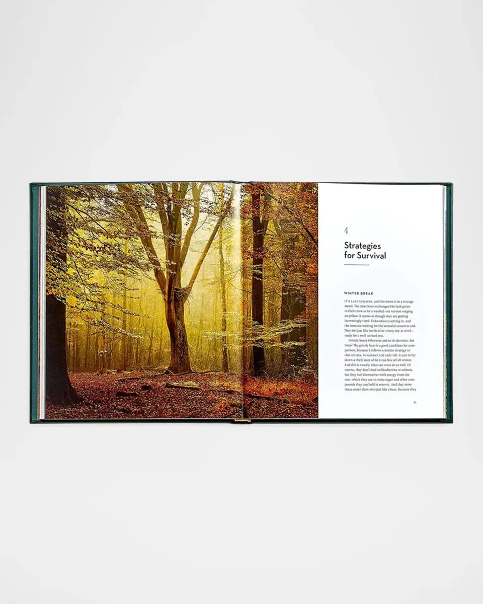 Graphic Image "The Hidden Life of Trees" Leather-Bound Book by Peter Wohlleben | Thumbnail 3 Graphic Image "The Hidden Life of Trees" Leather-Bound Book by Peter Wohlleben | Thumbnail 3