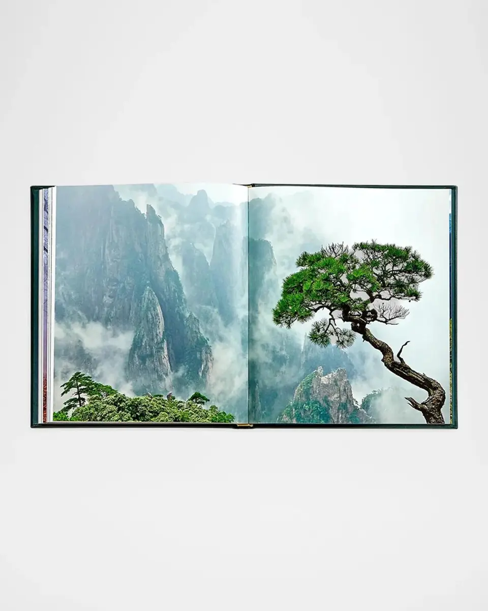 Graphic Image "The Hidden Life of Trees" Leather-Bound Book by Peter Wohlleben | Thumbnail 4 Graphic Image "The Hidden Life of Trees" Leather-Bound Book by Peter Wohlleben | Thumbnail 4