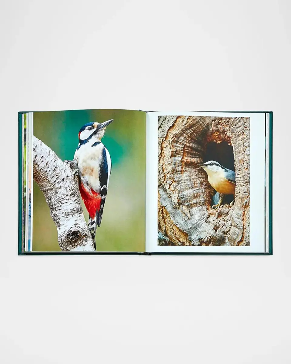 Graphic Image "The Hidden Life of Trees" Leather-Bound Book by Peter Wohlleben | Thumbnail 5 Graphic Image "The Hidden Life of Trees" Leather-Bound Book by Peter Wohlleben | Thumbnail 5