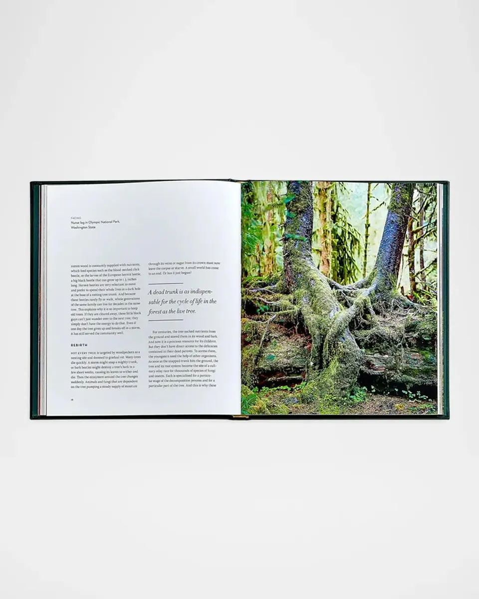 Graphic Image "The Hidden Life of Trees" Leather-Bound Book by Peter Wohlleben | Thumbnail 7 Graphic Image "The Hidden Life of Trees" Leather-Bound Book by Peter Wohlleben | Thumbnail 7