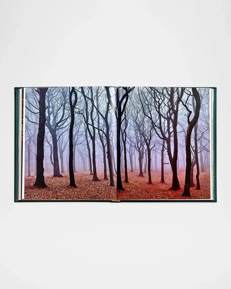 Graphic Image "The Hidden Life of Trees" Leather-Bound Book by Peter Wohlleben | Thumbnail 8 Graphic Image "The Hidden Life of Trees" Leather-Bound Book by Peter Wohlleben | Thumbnail 8