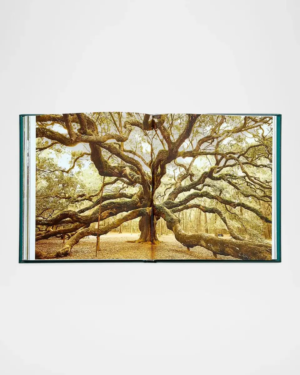 Graphic Image "The Hidden Life of Trees" Leather-Bound Book by Peter Wohlleben | Thumbnail 9 Graphic Image "The Hidden Life of Trees" Leather-Bound Book by Peter Wohlleben | Thumbnail 9