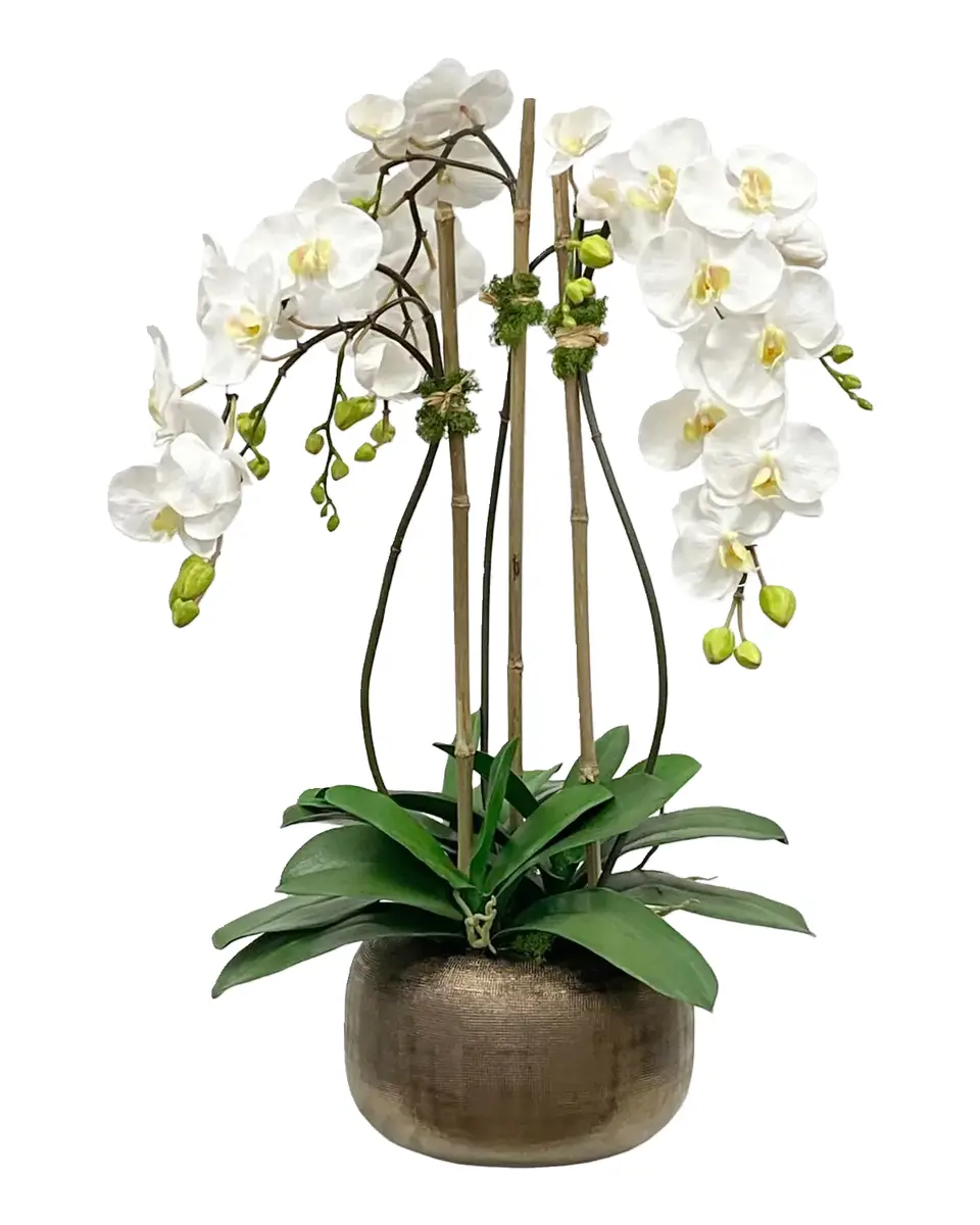 Winward Home Artificial Orchid Flower Arrangement | Thumbnail 2 Winward Home Artificial Orchid Flower Arrangement | Thumbnail 2