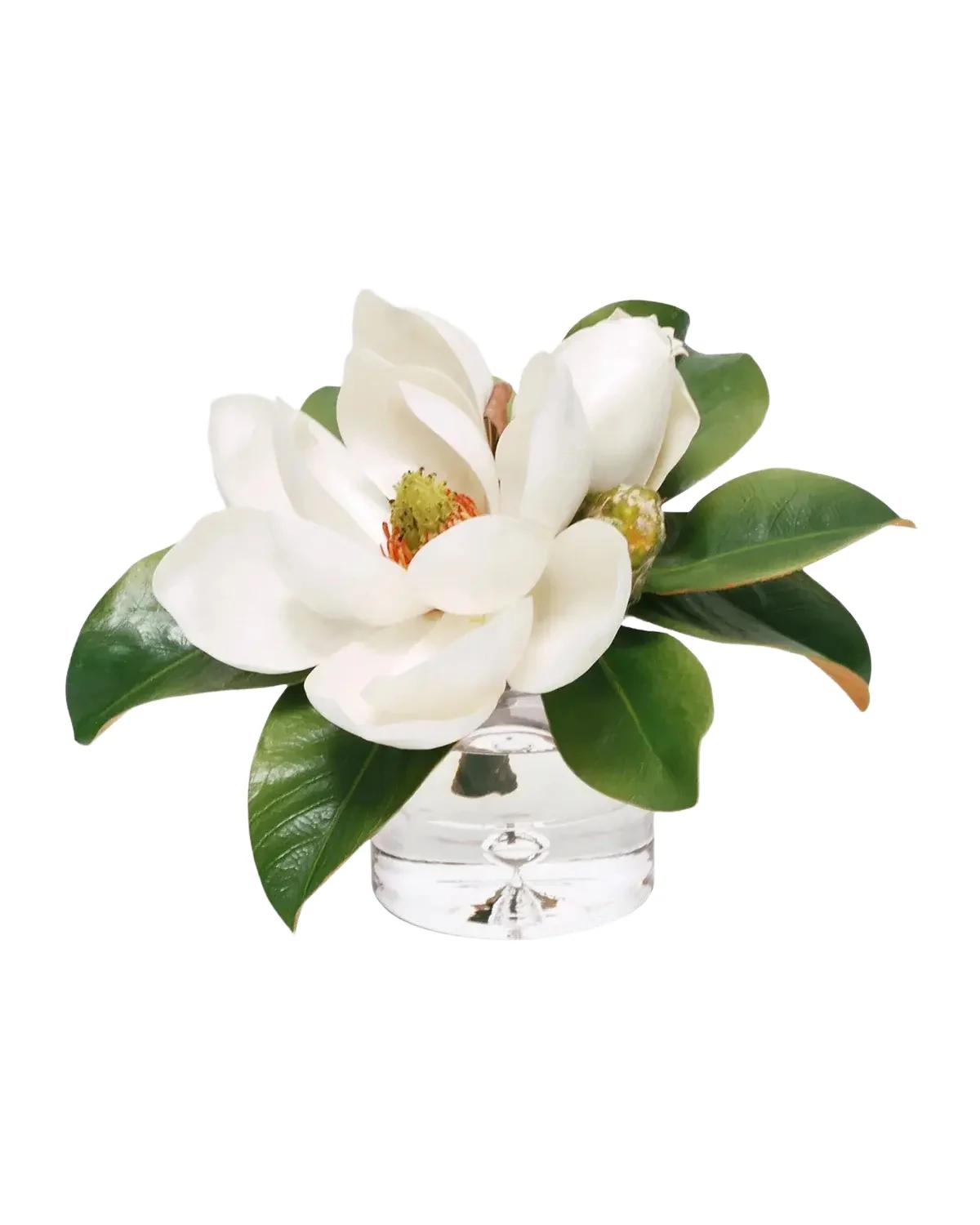 Winward Home Magnolia Floral Arrangement in Glass Vase