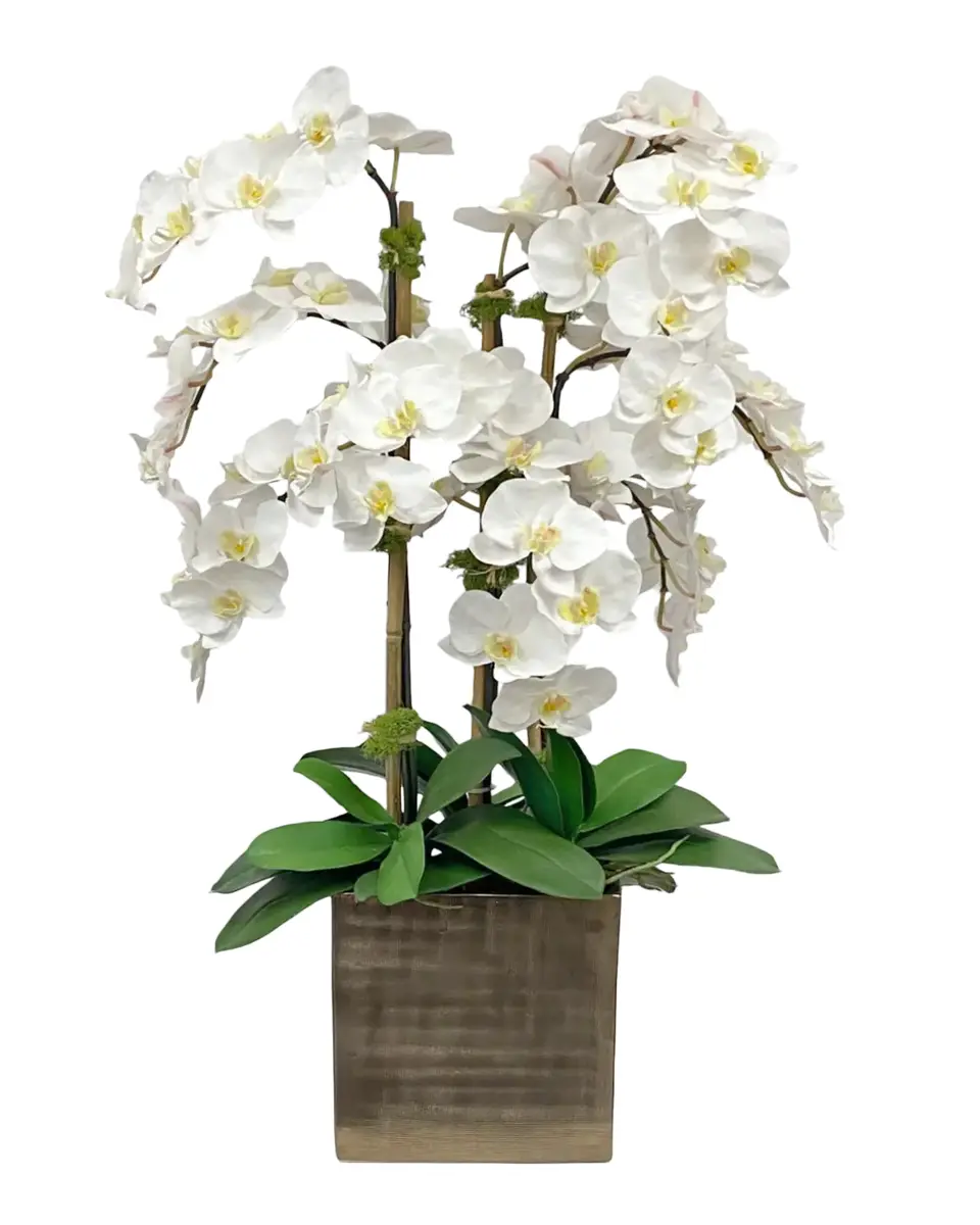 Winward Home Artificial Orchid Flower Arrangement | Thumbnail 2 Winward Home Artificial Orchid Flower Arrangement | Thumbnail 2