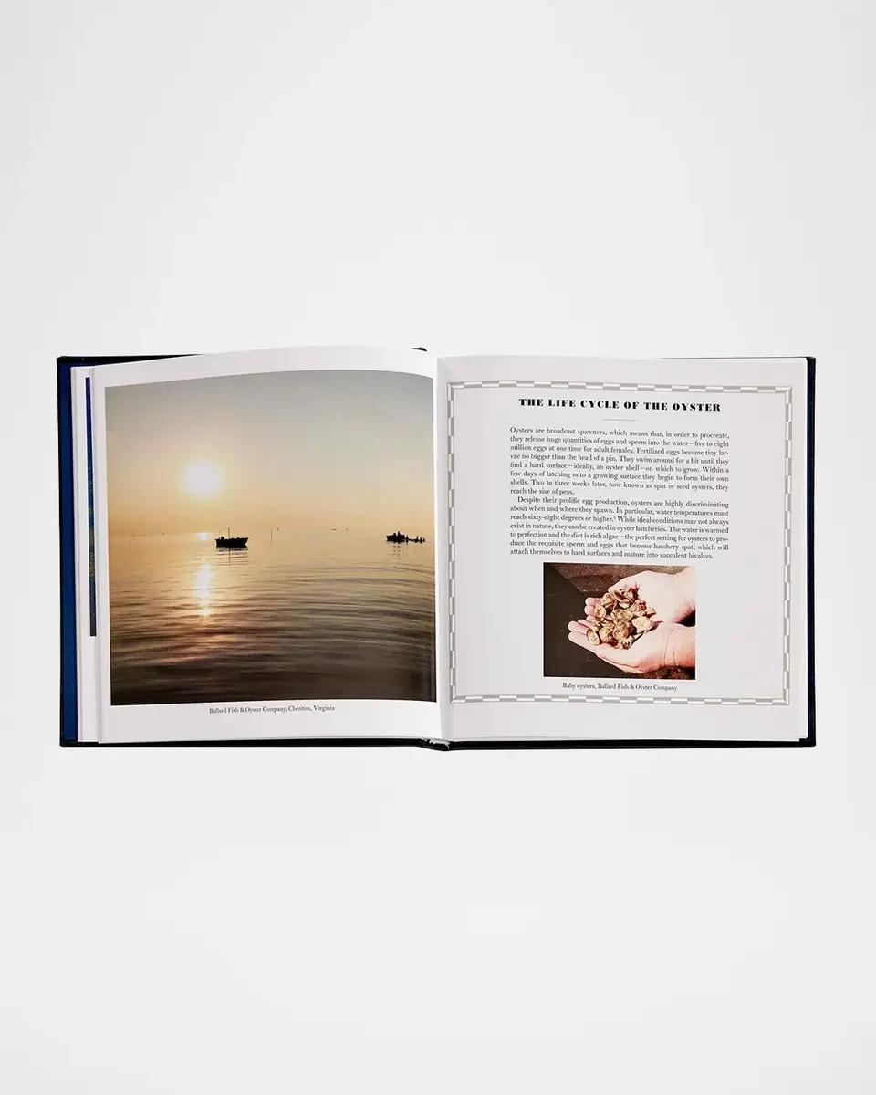 Graphic Image "Oysters: A Celebration in the Raw" Leather-Bound Book by Marion Lear Swaybill | Thumbnail 4 Graphic Image "Oysters: A Celebration in the Raw" Leather-Bound Book by Marion Lear Swaybill | Thumbnail 4