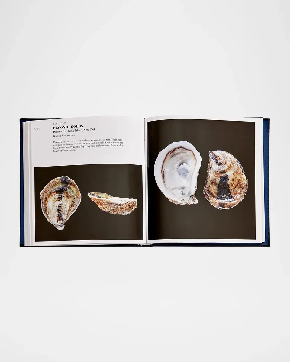 Graphic Image "Oysters: A Celebration in the Raw" Leather-Bound Book by Marion Lear Swaybill | Thumbnail 6 Graphic Image "Oysters: A Celebration in the Raw" Leather-Bound Book by Marion Lear Swaybill | Thumbnail 6