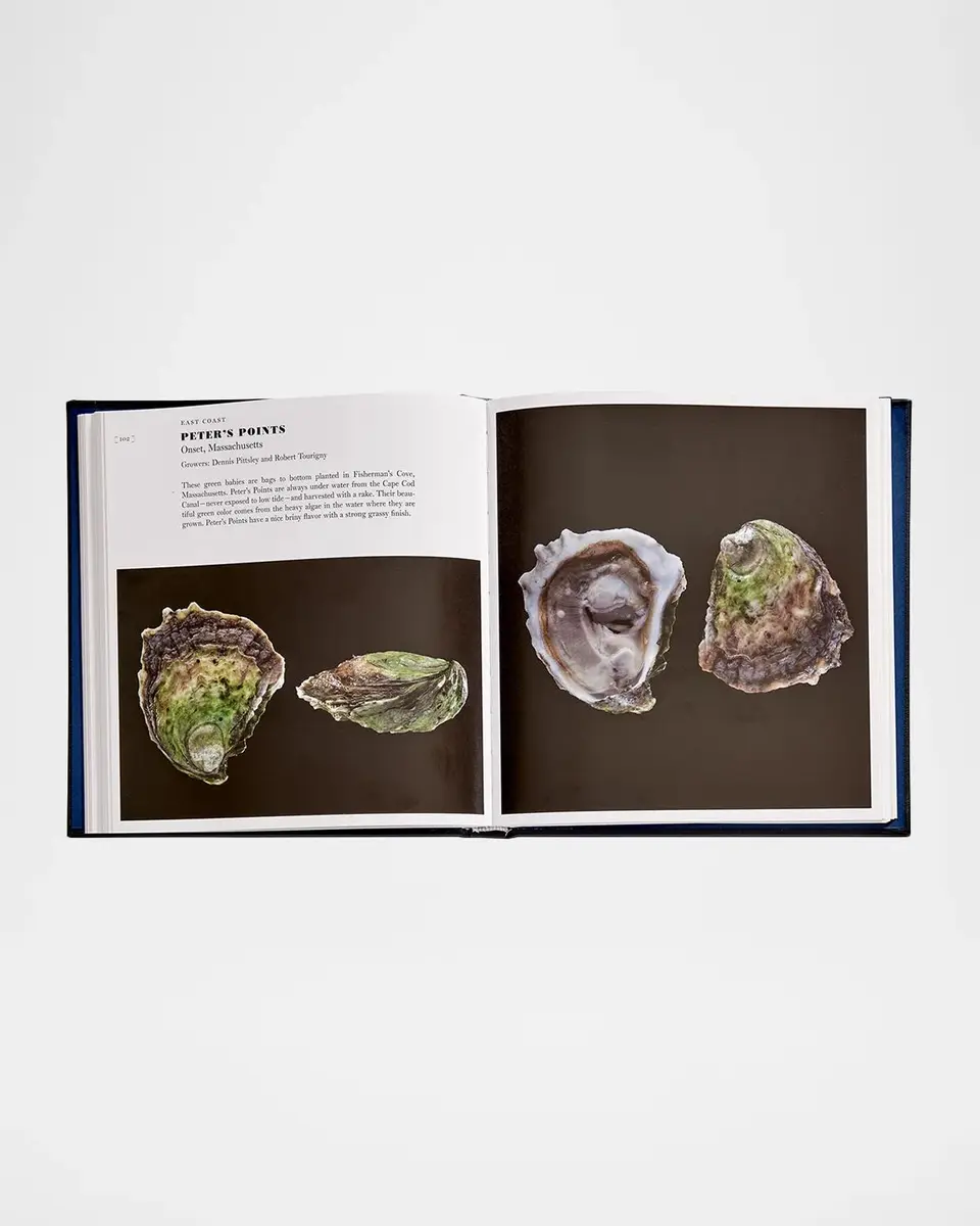 Graphic Image "Oysters: A Celebration in the Raw" Leather-Bound Book by Marion Lear Swaybill | Thumbnail 7 Graphic Image "Oysters: A Celebration in the Raw" Leather-Bound Book by Marion Lear Swaybill | Thumbnail 7