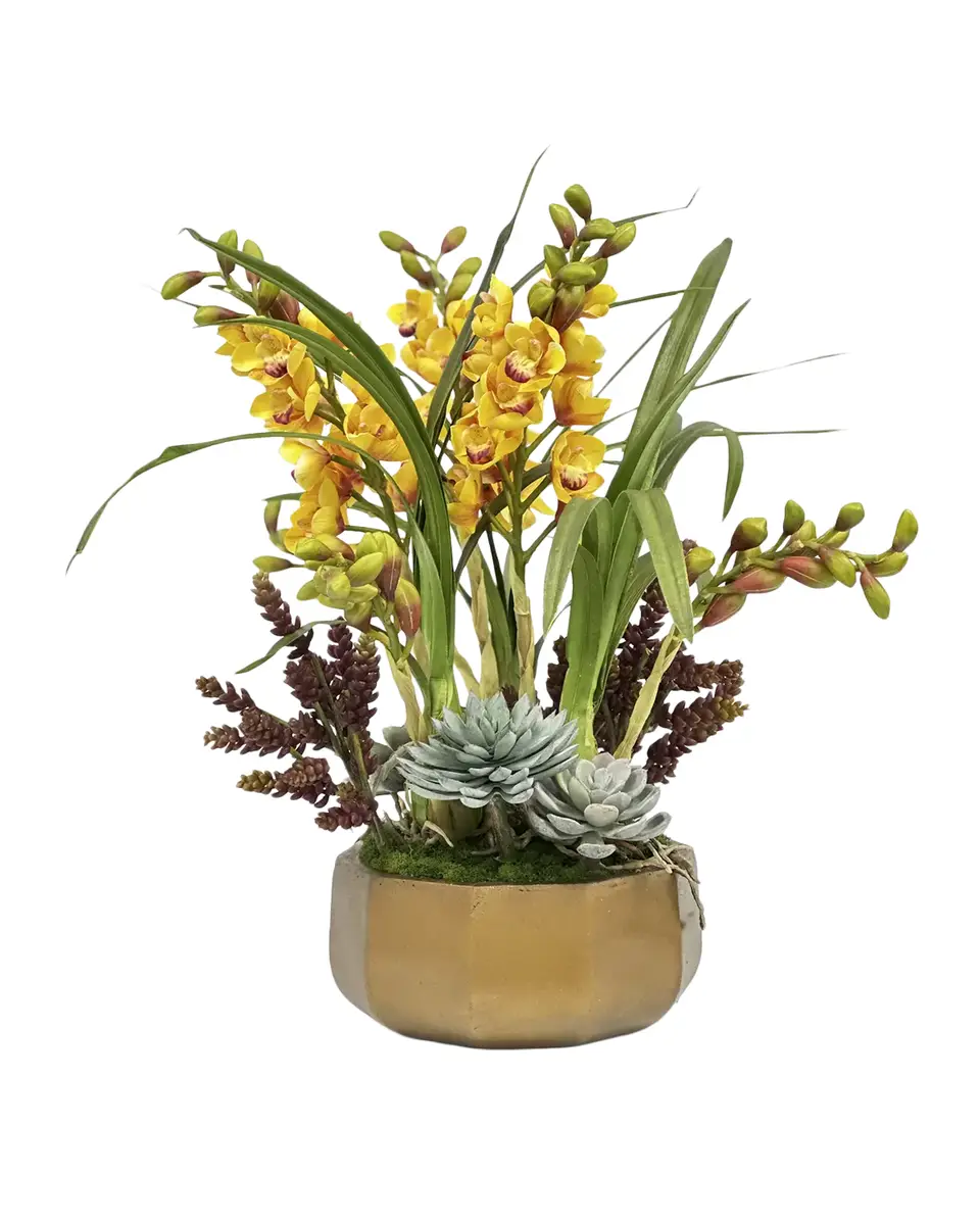Winward Home Orchid & Succulent Floral Arrangement in Golden Pot 25" | Thumbnail 2 Winward Home Orchid & Succulent Floral Arrangement in Golden Pot 25" | Thumbnail 2