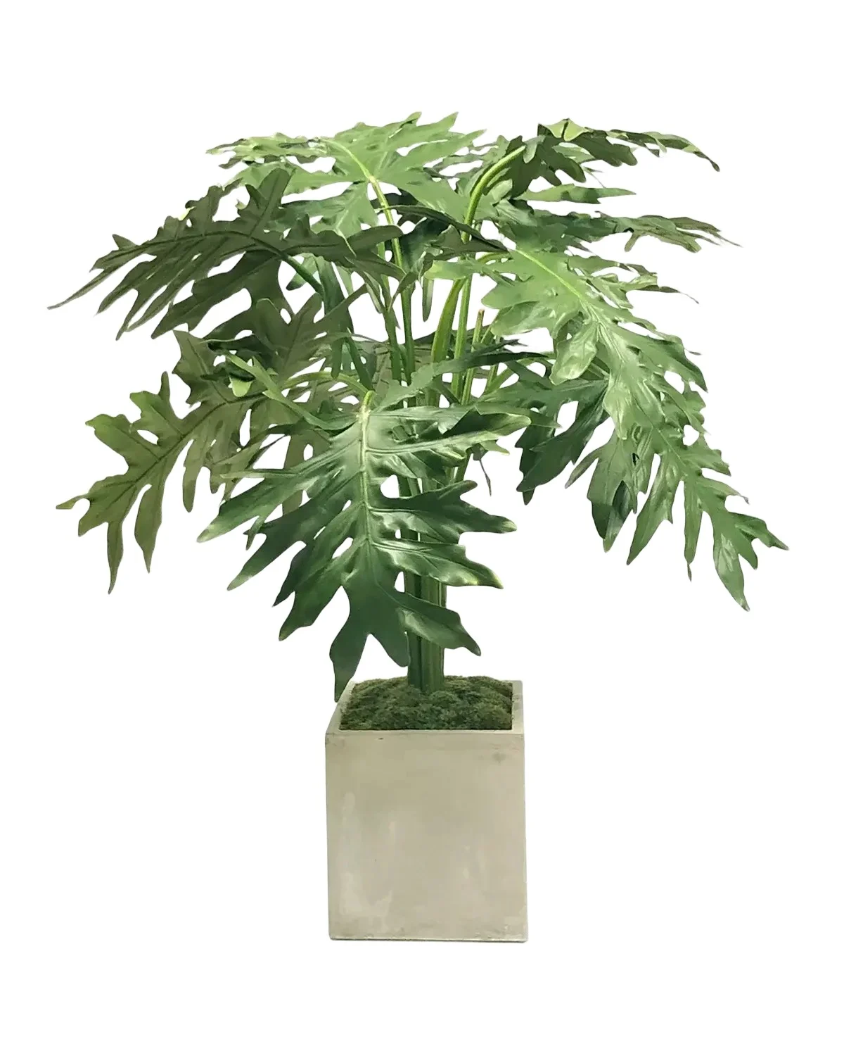 Winward Home Artificial Monstera Arrangement