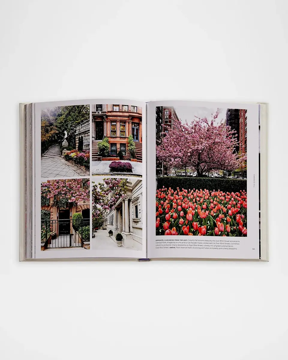 Graphic Image "Walk With Me: New York" Leather-Bound Book by Susan Kaufman | Thumbnail 4 Graphic Image "Walk With Me: New York" Leather-Bound Book by Susan Kaufman | Thumbnail 4