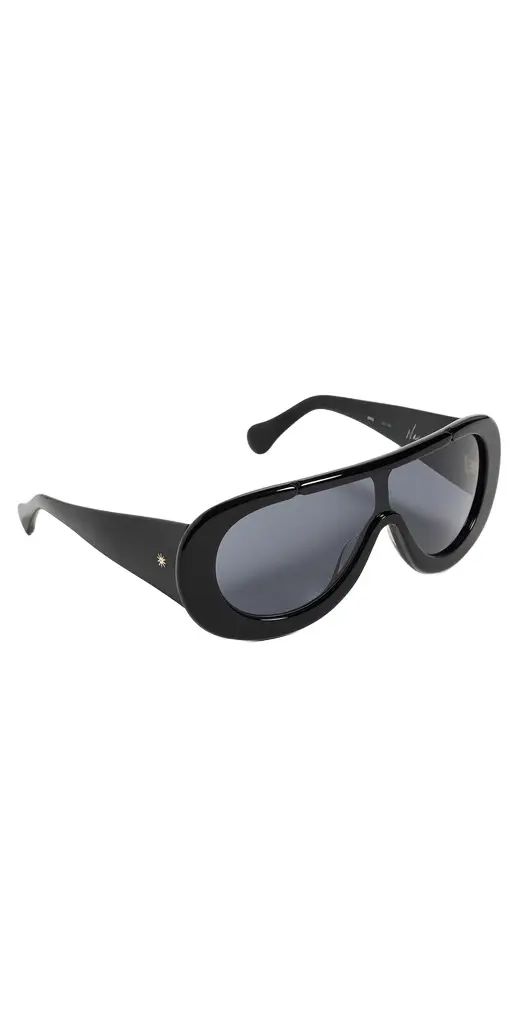 Navigator Sunglasses