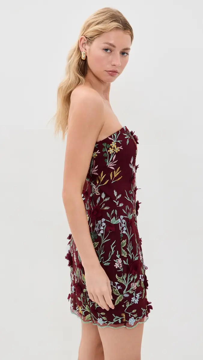 endless rose Strapless 3D Floral Embroidered Mini Dress | Thumbnail 4