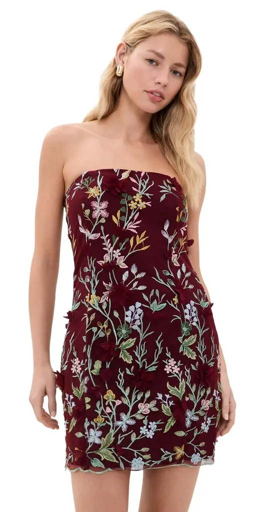 Strapless 3D Floral Embroidered Mini Dress