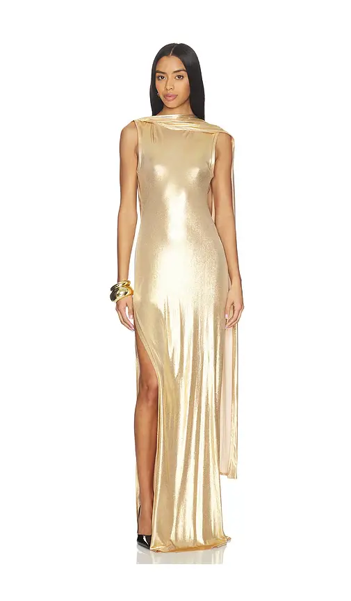 Sid Neigum Floor Length Reversible Cowl Dress | Thumbnail 2 Sid Neigum Floor Length Reversible Cowl Dress | Thumbnail 2