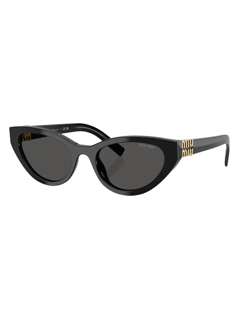 Miu Miu Women's 54MM Butterfly Sunglasses