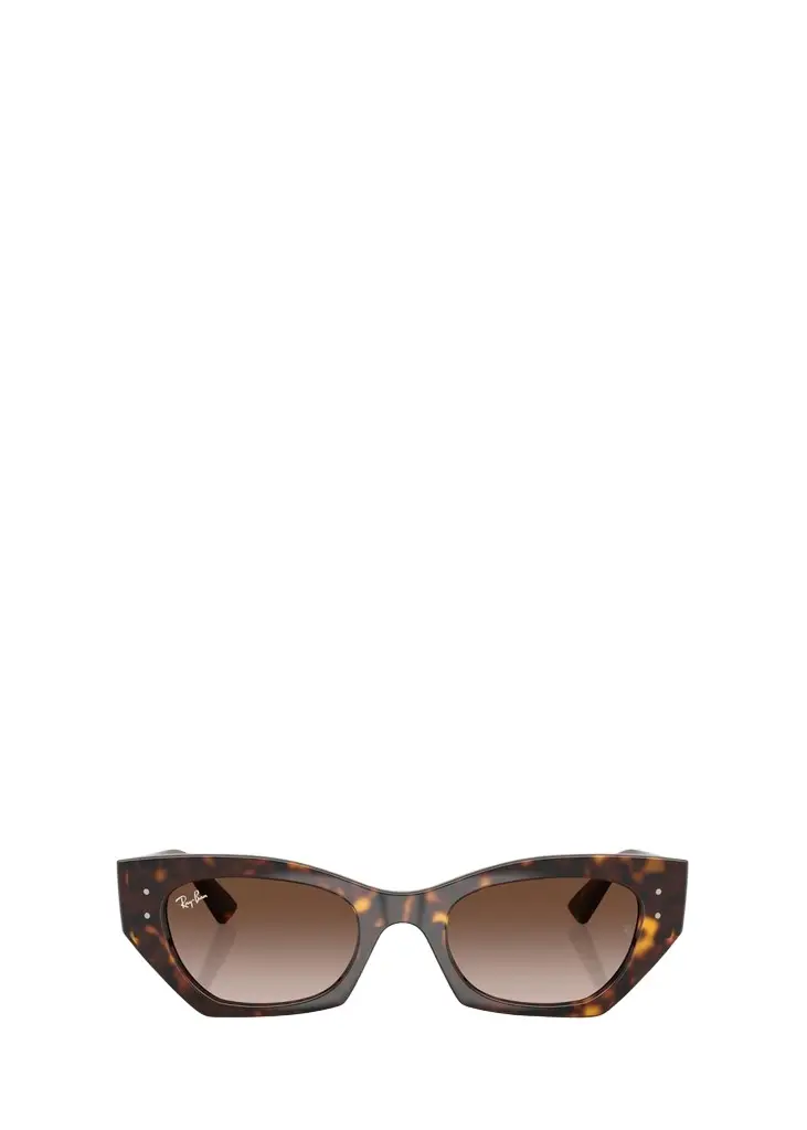 Ray-Ban Zena Plastic Cat-Eye Sunglasses