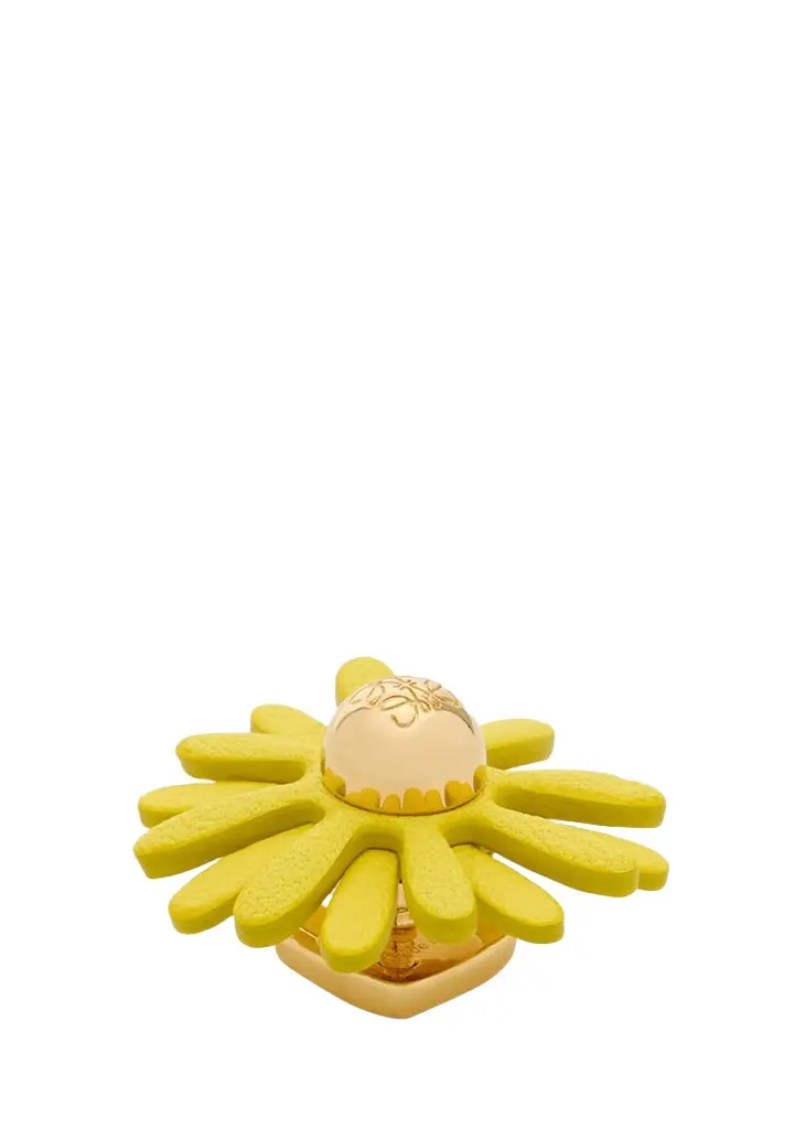Loewe Flower Pin in Brass and Calfskin