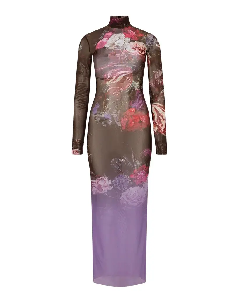 Roberto Cavalli Turtleneck Bouquet-Print Metallic Mesh Long-Sleeve Maxi Dress