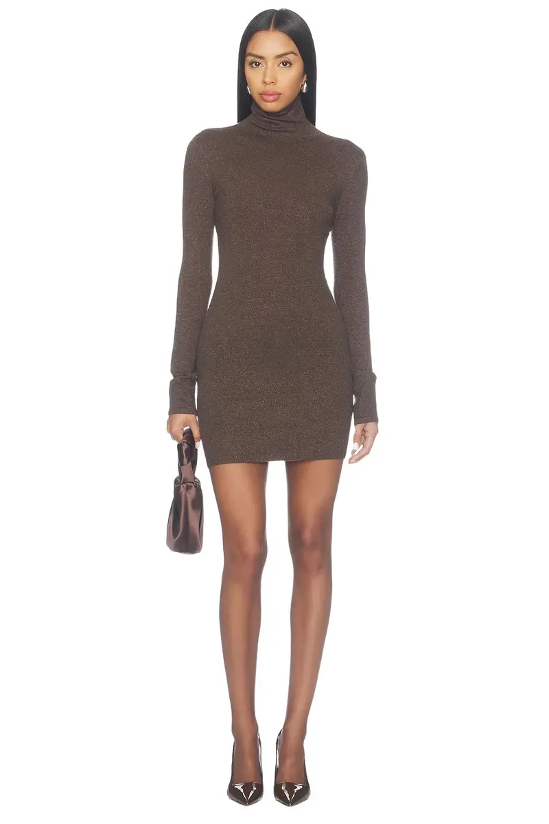 Bessi Turtle Neck Mini Dress