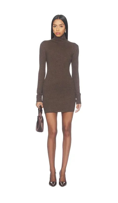 Lovers and Friends Bessi Turtle Neck Mini Dress
