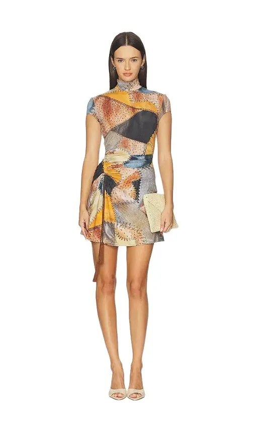Roberto Cavalli Dress