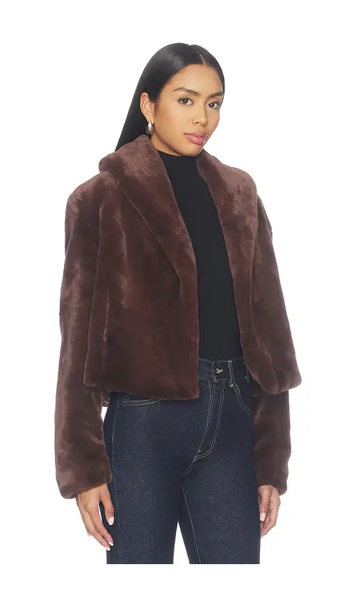 BLANKNYC Faux Fur Teddy Coat | Thumbnail 2 BLANKNYC Faux Fur Teddy Coat | Thumbnail 2
