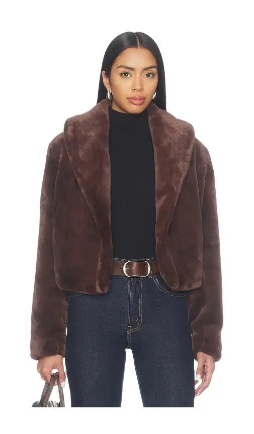 BLANKNYC Faux Fur Teddy Coat