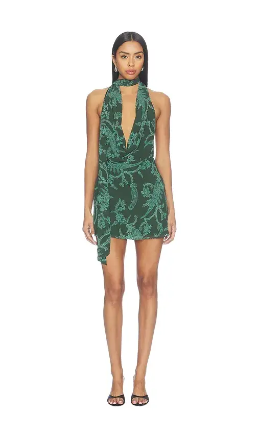 Show Me Your Mumu Simone Mini Dress