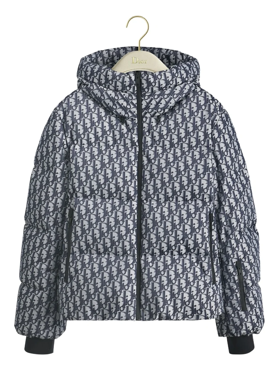 Dior DiorAlps Dior Oblique Hooded Down Jacket