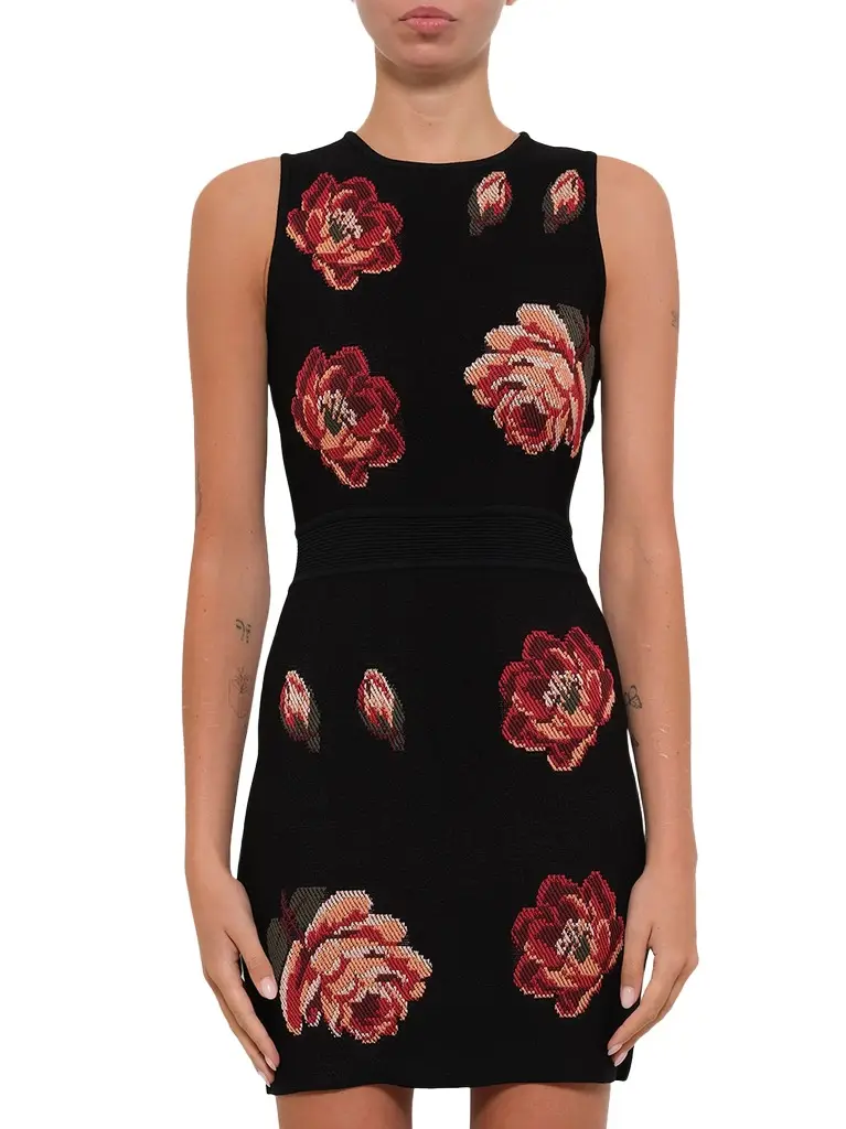Alexander McQueen Tapesty Jacquard Mini Dress in Black/red