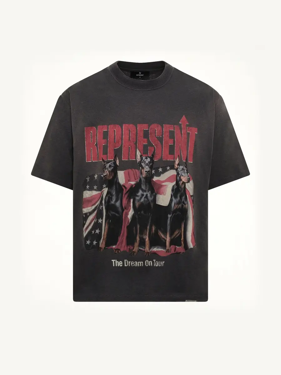 Represent Dream On Tour T-shirt in Sun Fade Grey | Thumbnail 2 Represent Dream On Tour T-shirt in Sun Fade Grey | Thumbnail 2
