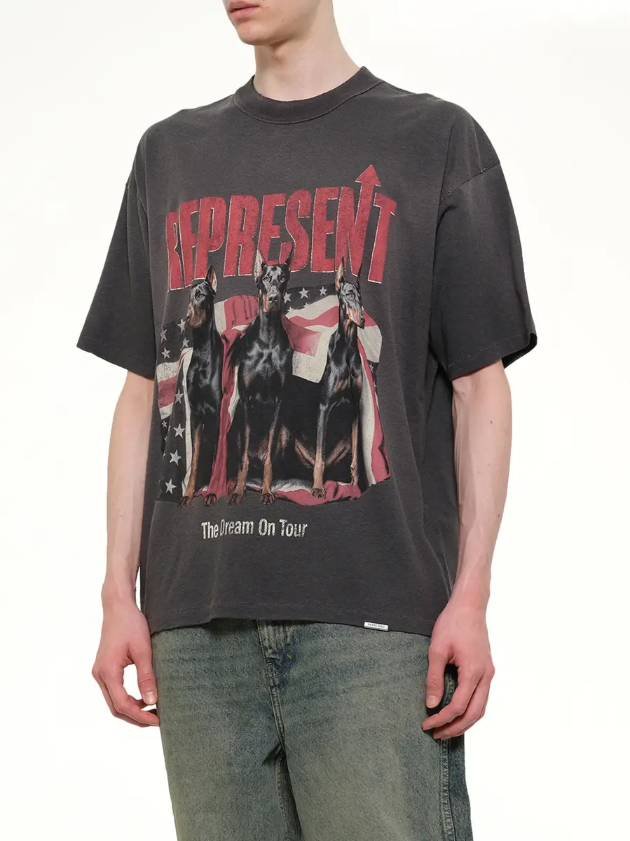 Represent Dream On Tour T-shirt in Sun Fade Grey | Thumbnail 6 Represent Dream On Tour T-shirt in Sun Fade Grey | Thumbnail 6