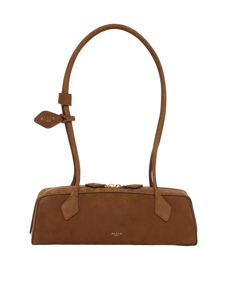 Le Teckel Medium Bag in Terre D'ombre Le Teckel Medium Bag in Terre D'ombre