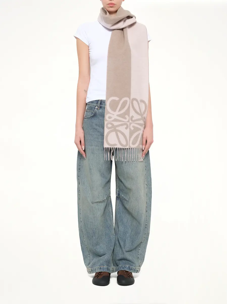 Loewe 28x180 Wool Cashmere Scarf in Light Pink/beige | Thumbnail 2