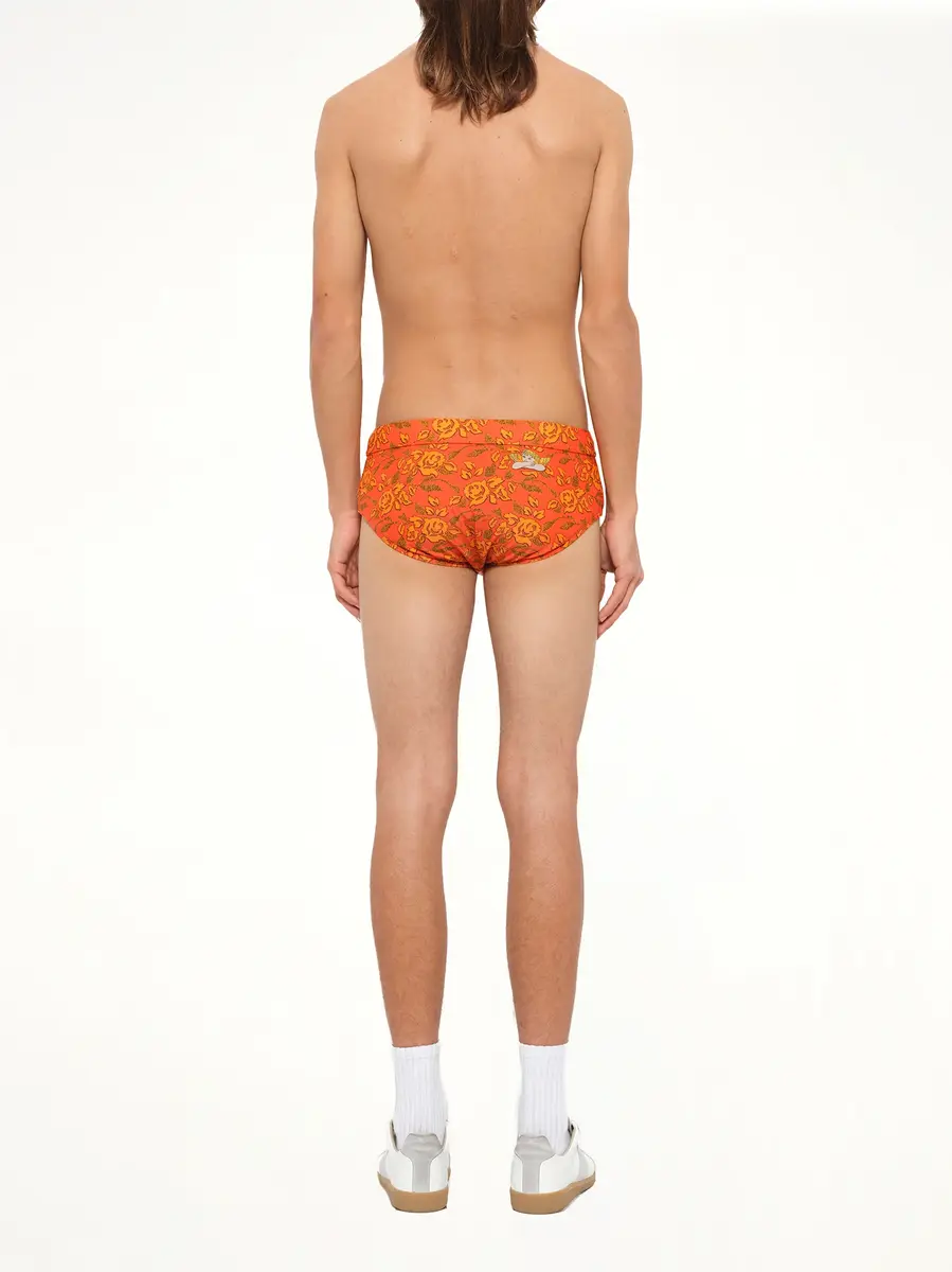 Loewe Loewe x Paula Printed Swim Briefs | Thumbnail 4 Loewe Loewe x Paula Printed Swim Briefs | Thumbnail 4