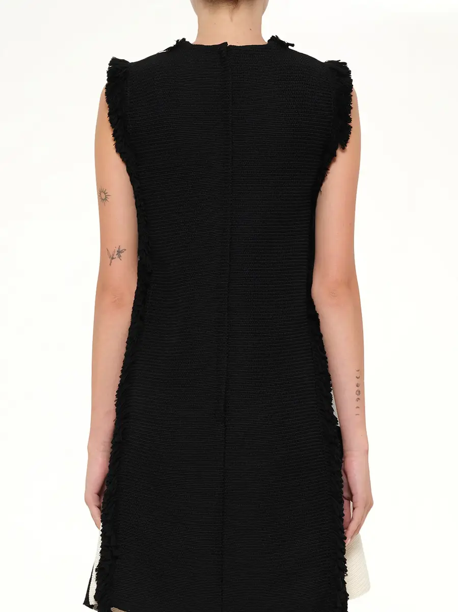Lanvin Lanvin Dress in Black/white | Thumbnail 3 Lanvin Lanvin Dress in Black/white | Thumbnail 3