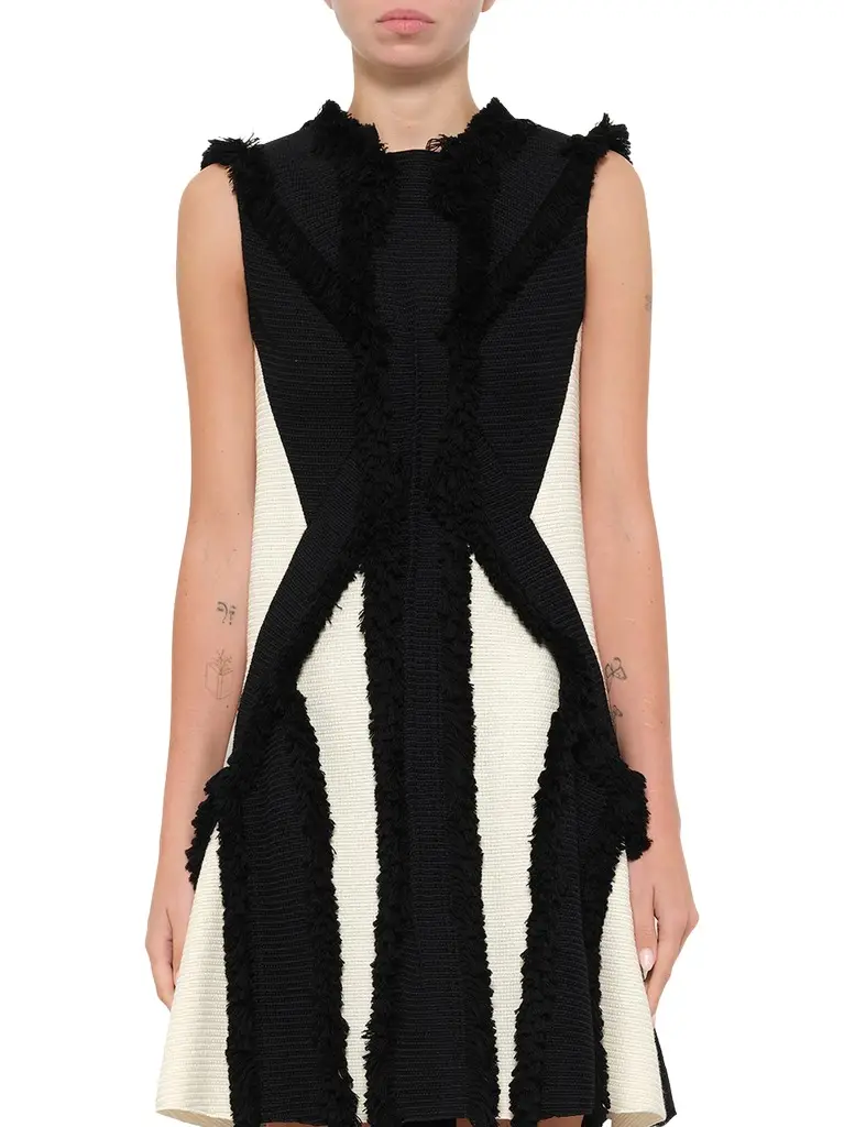 Lanvin Lanvin Dress in Black/white