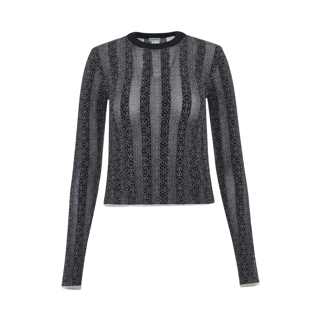 Loewe Anagram Devore Viscose Sweater