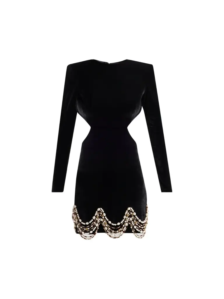 PatBo Women's Maria Velvet Embroidered Mini Dress