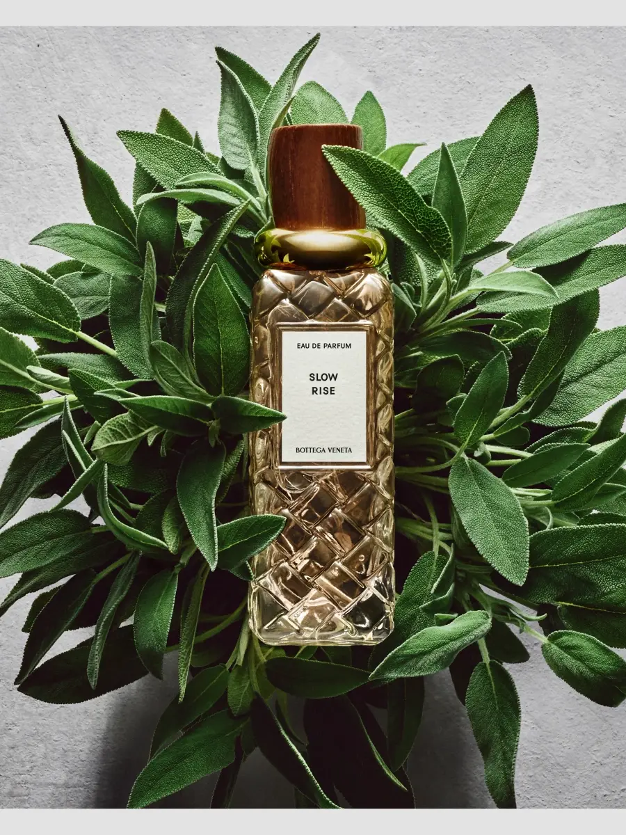 Bottega Veneta Slow Rise Eau de Parfum | Thumbnail 4