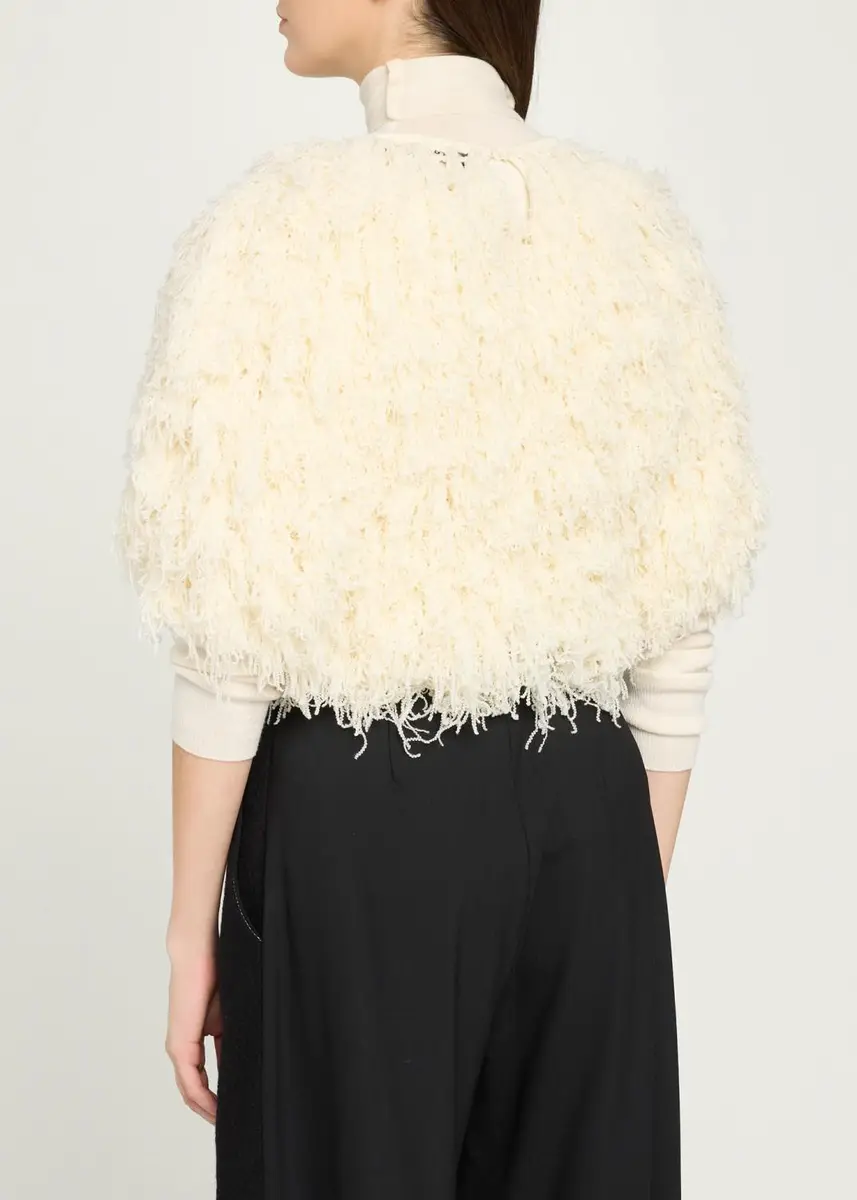 Ashlyn Curly Fringe Crop Sweater | Thumbnail 3
