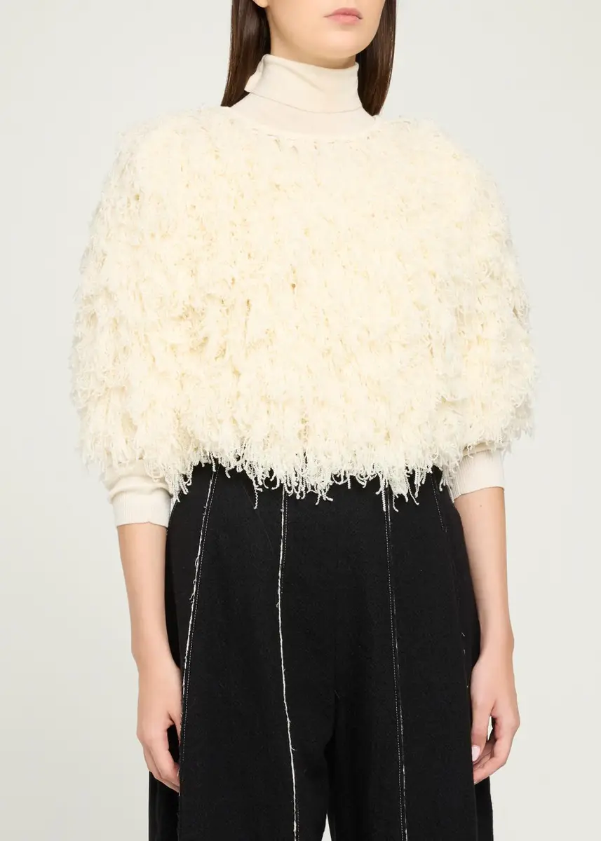 Ashlyn Curly Fringe Crop Sweater | Thumbnail 4