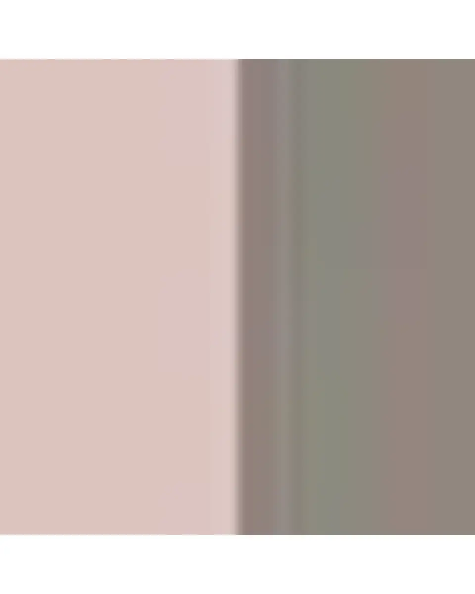 JIA JIA Oracle Tigers Eye and Rose Quartz Orbit Bracelet | Thumbnail 3