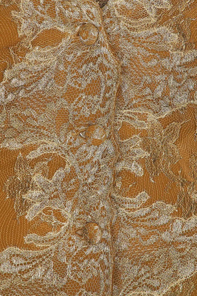 Saint Laurent Floral Lace Long Sleeve Dress | Thumbnail 4 Saint Laurent Floral Lace Long Sleeve Dress | Thumbnail 4