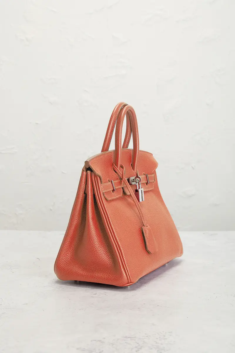 HERMÈS Hermes Togo Birkin 25 Handbag | Thumbnail 4 HERMÈS Hermes Togo Birkin 25 Handbag | Thumbnail 4